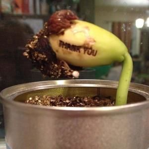 Meet your Posher, Colleen